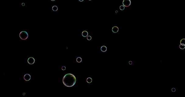 透明な背景にある気泡の動き — ストック動画