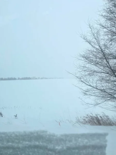 Condizioni Bufera Bianca Nel Midwest Durante Inverno — Foto Stock