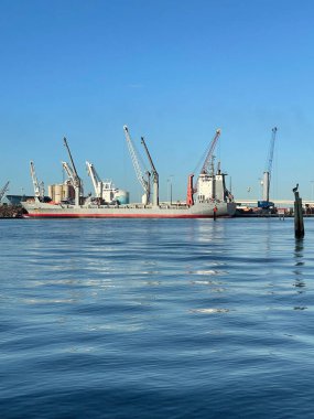 Florida sahilinde sisli bir gün doğumu