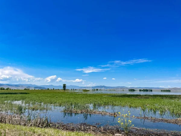 stock image Mountains and marshes in Montana during summer