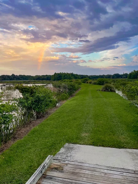 バイユーのルイジアナ沼の夕日 — ストック写真