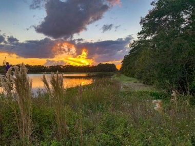 Turuncu güneş Florida 'da bir gölde batıyor.