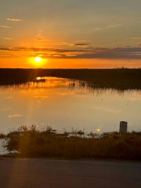 Arka planda kulübe olan bataklık manzarası üzerinde turuncu gün batımı