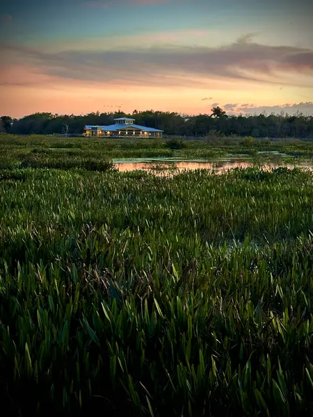 orange sunset over a swamp landscape with cabin in background