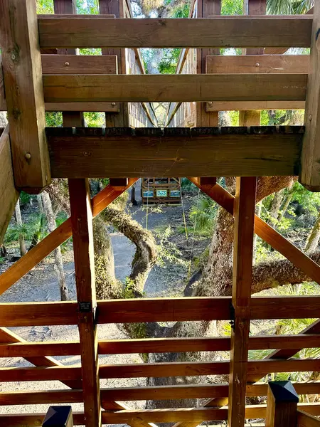 Elevated wooden pedestrian bridge in Florida\'s Myakka River State Park