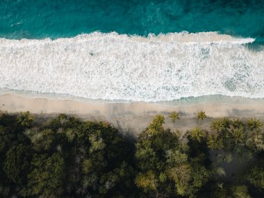 Kum plajındaki hava aracı görüntüsü, Fransa 'nın Martinique adasındaki palmiye ağacı ve okyanus. Fotoğraf Martinique 'de çekildi..