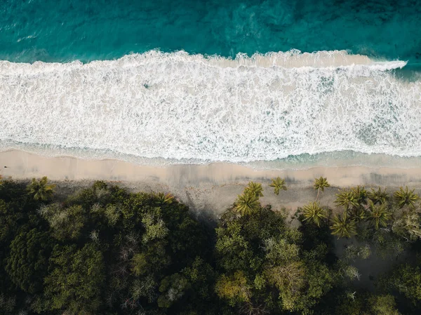 Aerial Top Drone View Sand Beach Palm Tree Ocean Caribbean — Stock Photo, Image