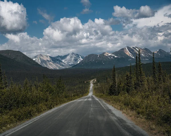 Krajobrazy Autostradzie Denali Alaska Opuszczona Malownicza Droga Alasce Wierzchołkami Gór — Zdjęcie stockowe