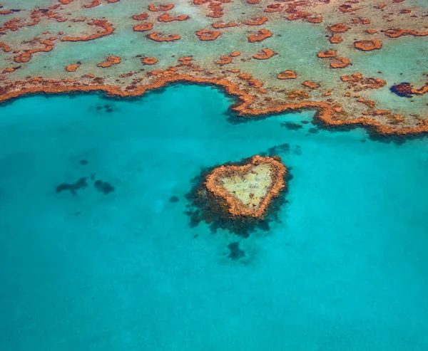 Heart Reef Whitsundays Queensland Australia Famous Reef Shaped Heart Great — Stock Photo, Image