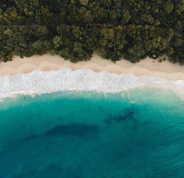 Kum plajındaki hava aracı görüntüsü, Fransa 'nın Martinique adasındaki palmiye ağacı ve okyanus. Fotoğraf Martinique 'de çekildi..