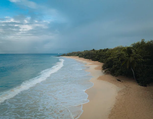 Aerial Drone View Sand Beach Palm Tree Ocean Caribbean Island — Stock Photo, Image