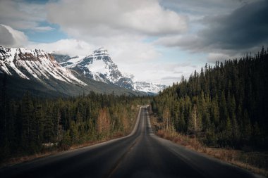 Sonbahar Jasper 'daki 93 güzel Icefield Yolu ve Kanada' daki Banff Ulusal Parkı..