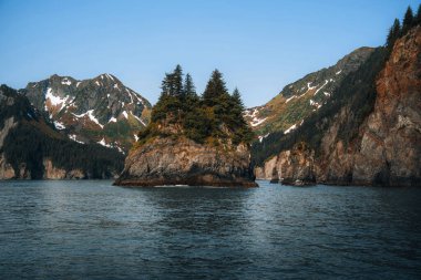 Kenai Fjords Ulusal Parkı 'nda bulunan Spire Cove. Vahşi Yaşam Gezisi Diriliş Körfezi, Alaska, ABD
