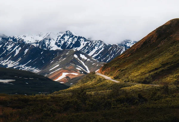 Національний Парк Аляска Деналі Дорога Парку Дені Веде Яскравих Гір — стокове фото