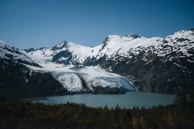 View of Portage glacier in the Chugach mountains and Portage lake on the background and pink blooming fireweed on the foreground. Shot in the USA, Alaska, in summer clipart