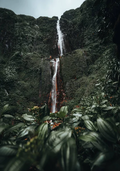 Waterfall Guadeloupe Caribbean Island Chutes Carbet Waterfall Guadeloupe National Park — Stock Photo, Image