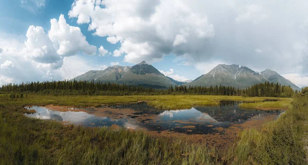 Klidné Jezero Tundře Aljašce Odrazem Denali Dálnice Denali Národní Park — Stock fotografie
