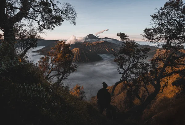 Чудовий Схід Сонця Біля Гори Бромо Активного Вулкана Національному Парку — стокове фото