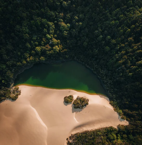 Wabby Gölü 'nün havadan görünüşü yemyeşil yağmur ormanları ve devasa bir kum tepesi ile çevrili. Fraser Adası, Queensland, Avustralya