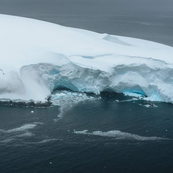 Плаваючий Айсберг Антарктичному Півострові Антарктиці Арктичному Зеленому Глобальне Потепління Концепція — стокове фото