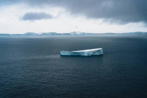 Icebergue Flutuante Península Antártica Antártica Vegetação Ártica Aquecimento Global Conceito — Fotografia de Stock