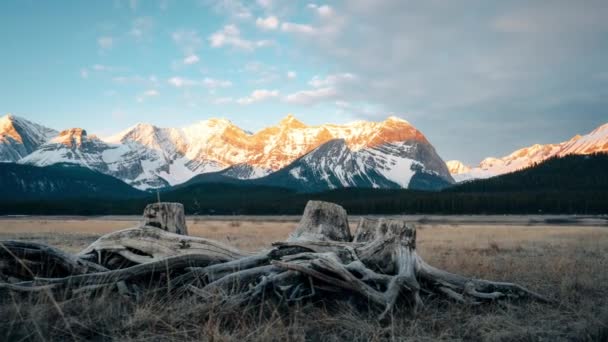 Przesuwa Timelapse Banff National Park Kananaskis Wschód Słońca Alpejską Poświatą — Wideo stockowe
