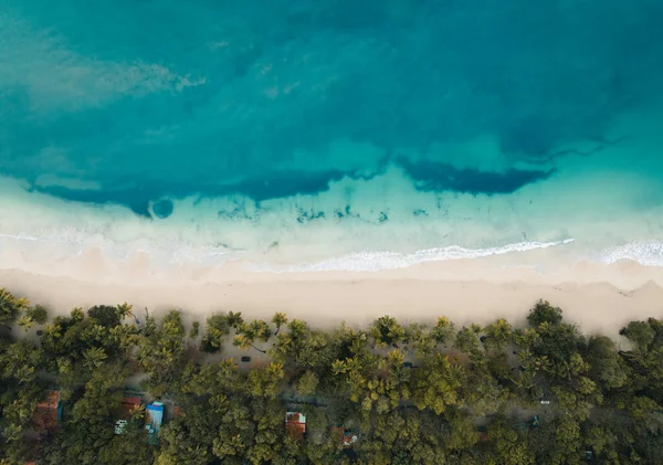 Widok Lotu Ptaka Piaszczystą Plażę Palmę Ocean Karaibskiej Wyspie Martynika — Zdjęcie stockowe