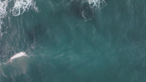 Aerial Hotové Záběry Sklon Vln Oranžový Maják Islandském Pobřeží Pestrobarevný — Stock video