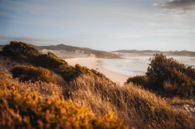 Güneş doğarken kum tepecikleriyle hava aracı görüntüsü. Forster, Büyük Göller, Avustralya.