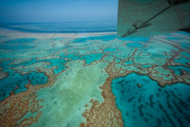 WhitSunday, Aerilie Beach, Queensland, Avustralya 'daki Büyük Set Mercan Resifi yapısının hava manzarası..