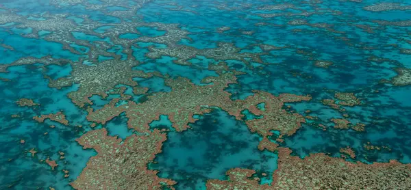 Aerial View Great Barrier Reef Coral Reef Structure Whitsundays Aerilie — Stock Photo, Image