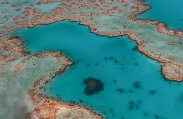 Vue Aérienne Structure Récif Corallien Grande Barrière Corail Whitsundays Plage — Photo