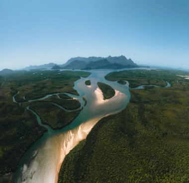 Hinchinbrook Ulusal Parkı 'ndaki Mangrove' ların hava manzarası. Hinchinbrook Adası 'ndaki Thorsborne Patikası boyunca dağlar, nehirler ve Ramsay Körfezi Sahili..
