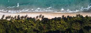 Aerial drone shot of Bingil Bay Beach at Mission Beach, Tropical North Queensland, Australia. clipart
