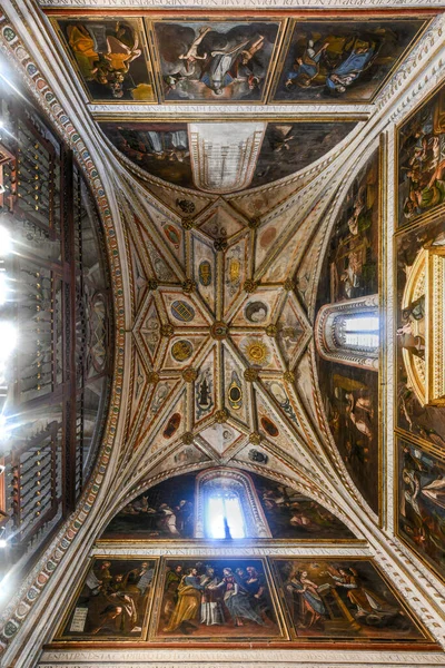 Segovia España 2021 Antigua Arquitectura Techo Catedral Segovia Vista Interior — Foto de Stock