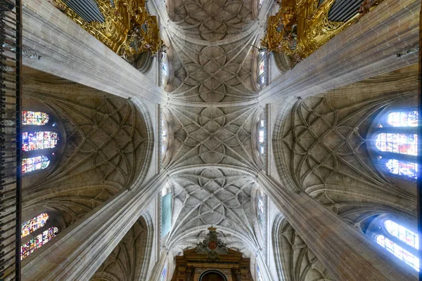 2021年11月27日 西班牙塞戈维亚主教座堂的古代建筑天花板 — 图库照片