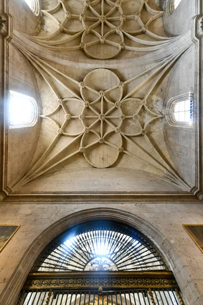 Segóvia Espanha Novembro 2021 Antiga Arquitetura Teto Catedral Segóvia Vista — Fotografia de Stock