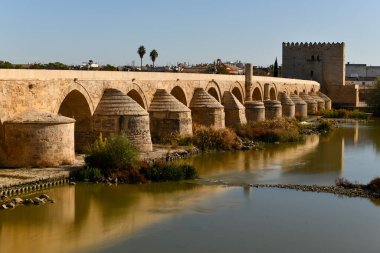 İspanya 'nın Cordoba kentindeki Guadalquivir nehri boyunca uzanan taş bir köprü..