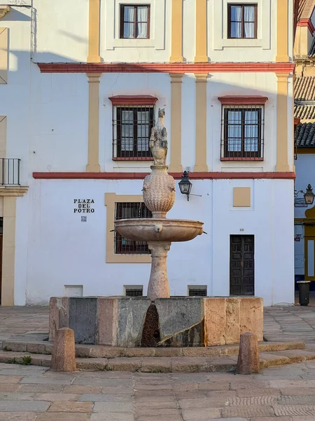 스페인의 코르도바 2021 스페인의 코르도바 역사적 중심지에 광장인 플라자델 포트로 — 스톡 사진