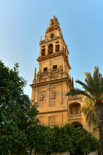 Перевернена Башта Мінарету Кафедральному Соборі Кордові Андалусія Іспанія — стокове фото