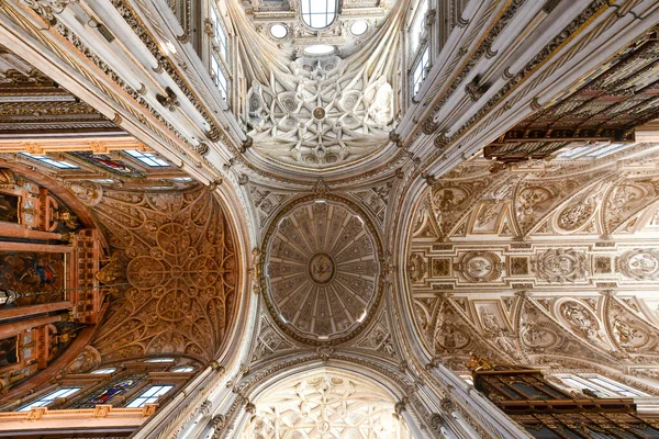 Κόρδοβα Ισπανία Νοεμβρίου 2021 Καθεδρικό Τζαμί Της Κόρδοβας Ισπανία Μεγάλο — Φωτογραφία Αρχείου