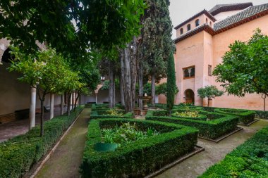İspanya Granada 'daki Alhambra Sarayı' nda bulunan Patio de la Reja..
