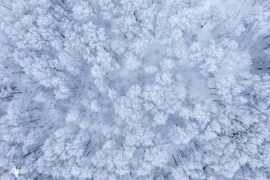 Aerial view of the Kurkino Nature Park and the Skhodnya River at in Moscow, Russia.