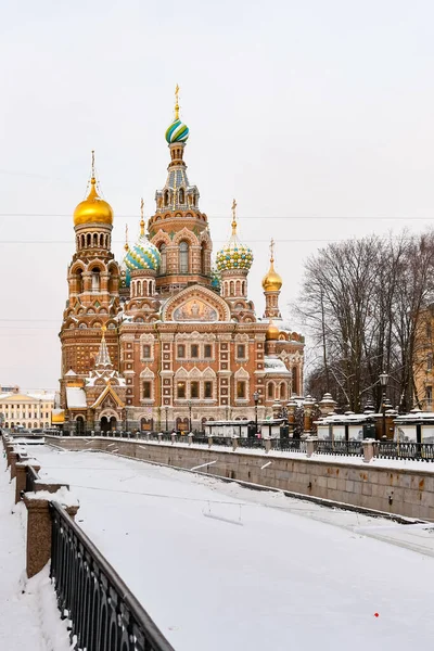Церковь Спаса Крови Санкт Петербург Россия Зимой — стоковое фото