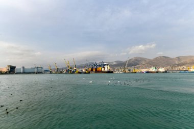 Novorossiysk, Rusya - 9 Ocak 2022: Novorossiysk limanında kargo gemileri ve vinçler.