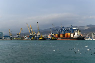 Novorossiysk, Rusya - 9 Ocak 2022: Novorossiysk limanında kargo gemileri ve vinçler.