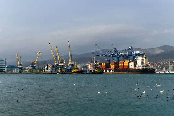 Novorossiysk Rusland Januari 2022 Vrachtschepen Kranen Haven Van Novorossiysk — Stockfoto