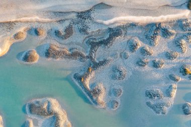 Pinckney Adası 'nda gün batımı, Güney Carolina' da küçük bir doğa rezervi..