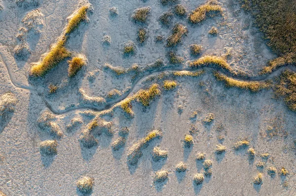 Закат Острове Пинкни Небольшом Заповеднике Южной Каролине — стоковое фото