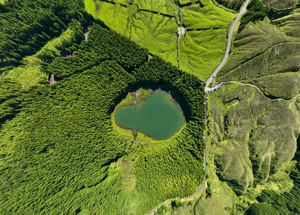サンミゲル アゾレス ポルトガルに位置する緑の森に囲まれたラグーン ラグーン の空中ビュー — ストック写真